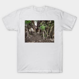 Spooky Old Trees. T-Shirt